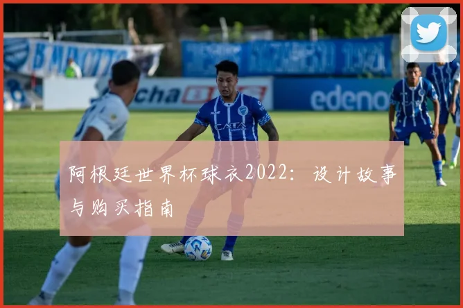 阿根廷世界杯球衣2022：设计故事与购买指南