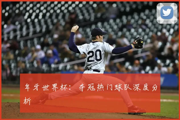 年牙世界杯：夺冠热门球队深度分析
